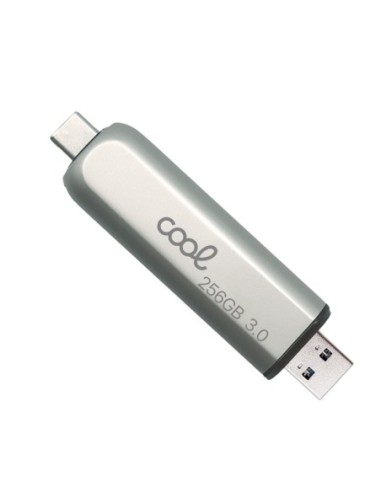 Pen Drive llavero USB 3.0 256 GB Cool...