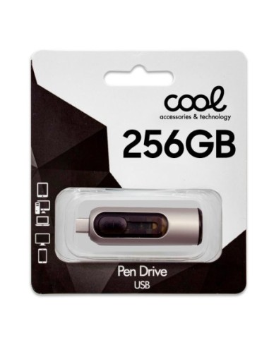 Pen Drive llavero USB 3.0 256 GB Cool...