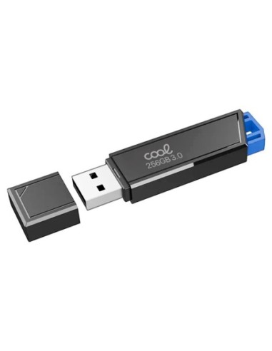 Pen Drive llavero USB 3.0 256 GB Cool...
