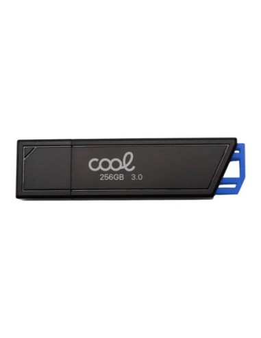 Pen Drive llavero USB 3.0 256 GB Cool...