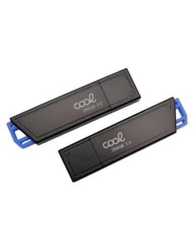 Pen Drive llavero USB 3.0 256 GB Cool...