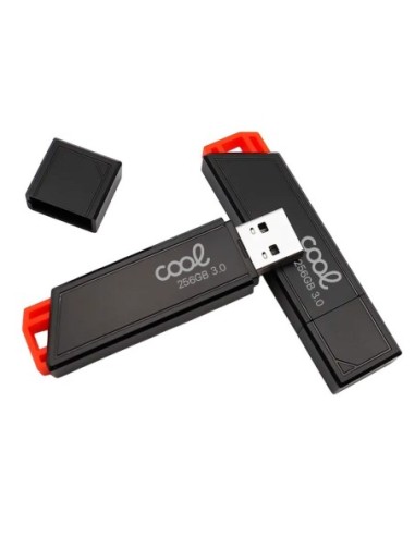 Pen Drive llavero USB 3.0 256 GB Cool...