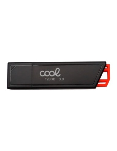 Pen Drive llavero USB 3.0 128 GB Cool...