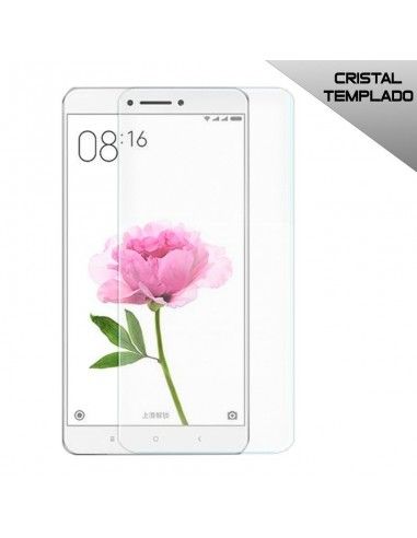 Protector vidrio templado Xiaomi Mi Max