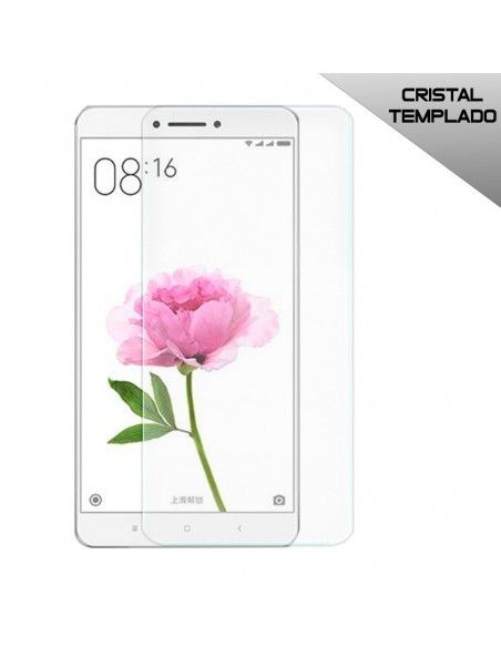 Protector vidrio templado Xiaomi Mi Max