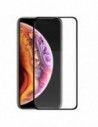 Protector pantalla vidrio templado iPhone XS Max / iPhone 11 Pro Max (F