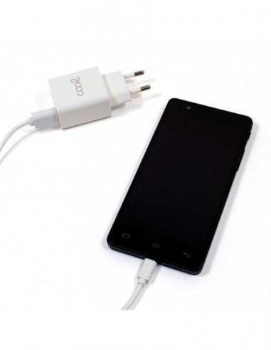 Cargador de red conector tipo C...