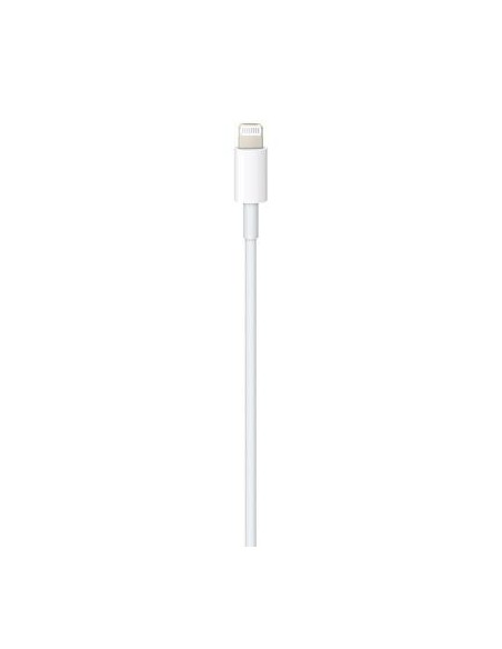 Cable original Apple USB tipo C a lightning iPhone 11/12, iPad 2019 / 2020, iPad Pro 2020 1 metro suelto (Bulk)