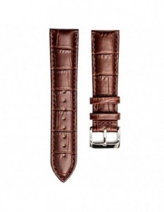 Correa universal 20mm...