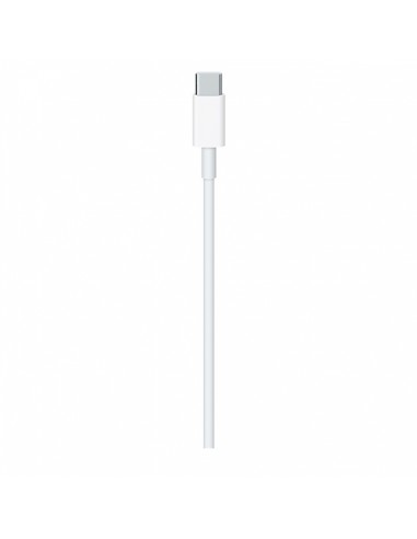 Cable original Apple USB tipo C a USB tipo C 2 metros suelto (Bulk)