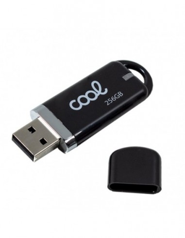 Pendrive llavero USB 256 GB 2.0 COOL...