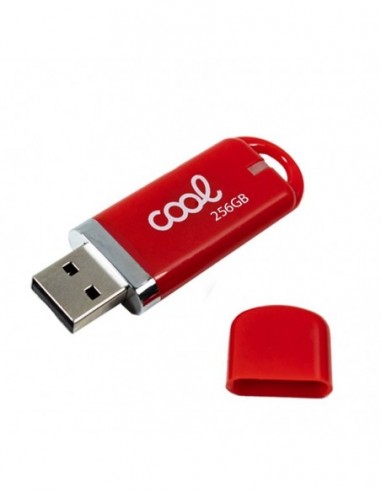 Pen Drive llavero USB 256 GB 2.0 Cool...