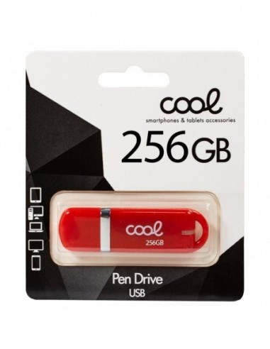 Pen Drive llavero USB 256 GB 2.0 Cool...