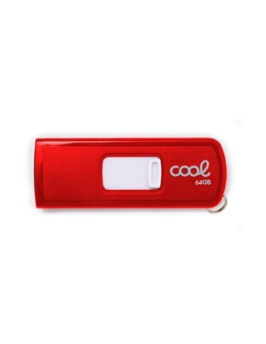 Pen Drive llavero USB 2.0 64GB Cool...