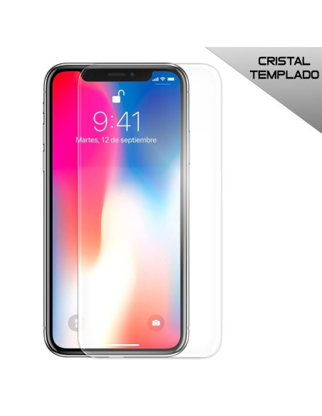 Protector pantalla vidrio templado iPhone X / XS / iPhone 11 Pro
