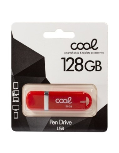 Pen Drive llavero USB 2.0 128 GB Cool...