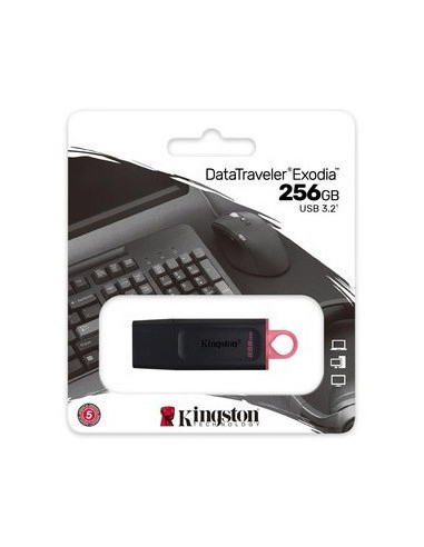 Pendrive 256 GB USB 3.2 DataTraveler Exodia llavero negro y rosa
